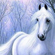 белый конь зимой