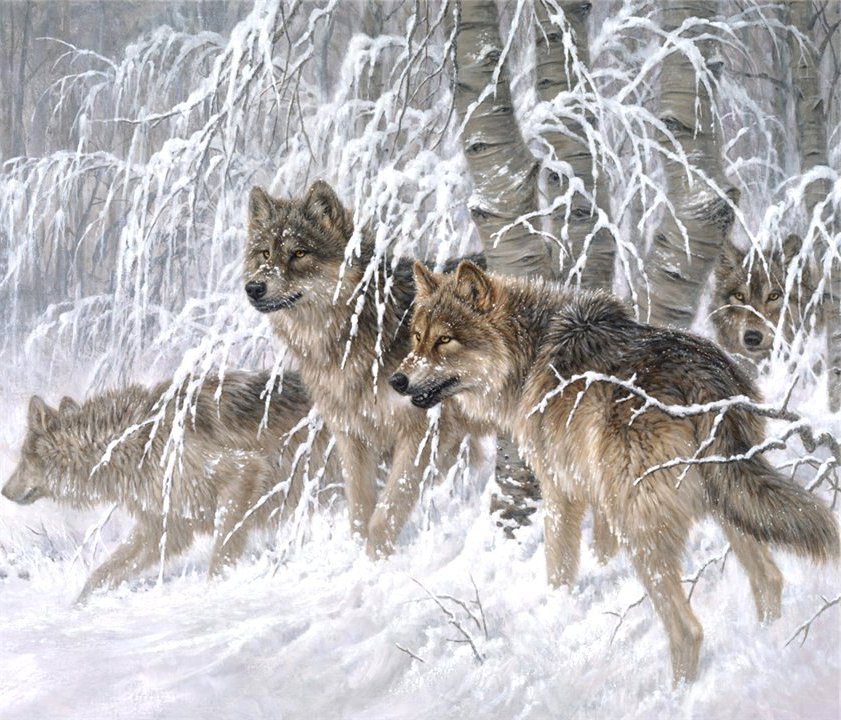 волчья стая - лес, снег, пейзаж, природа, стая, картина, волки, зима, хищники - оригинал