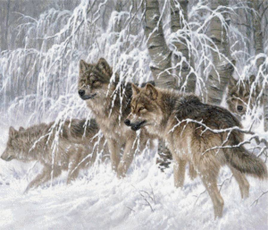 волчья стая - природа, пейзаж, зима, лес, картина, стая, снег, волки, хищники - предпросмотр