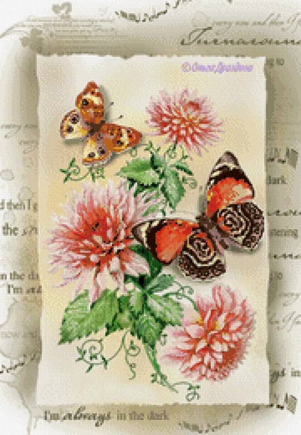 цветы и бабочки - бабочки, открытка, поздравление, цветы - предпросмотр