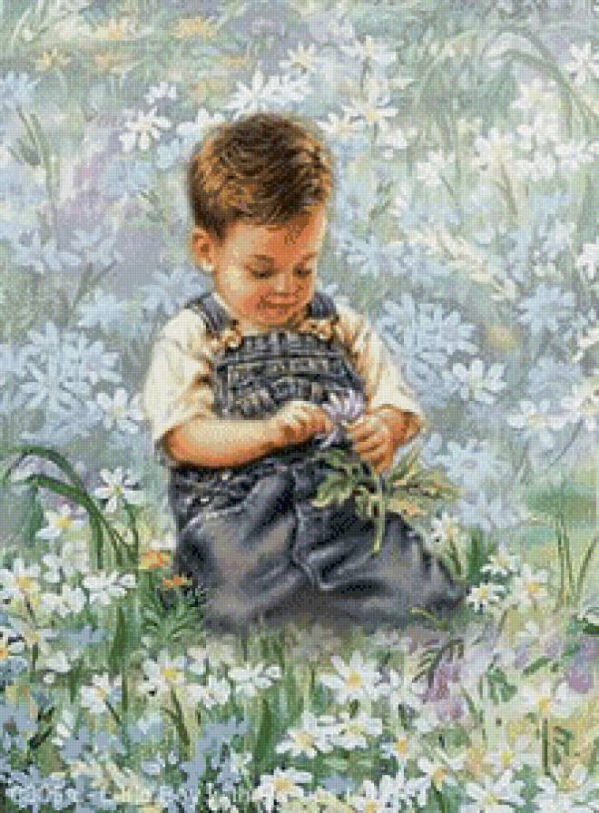 дона гелсингер мальчик на лугу - дона гелсингер, ромашки, луг, трава, цветы, поле, мальчик, дети - предпросмотр