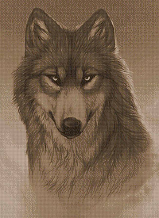 Волчий взгляд (живопись) - волки, сепия, монохром, животные, живопись - предпросмотр