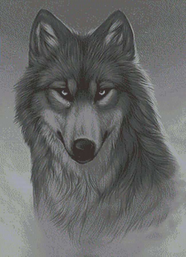 Волчий взгляд (живопись) - монохром, живопись, волки, животные - предпросмотр