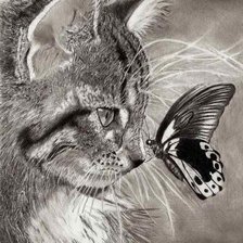 кот и бабочка монохром