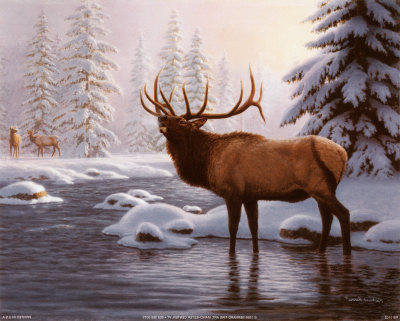 олень - лес, зима, олени, косули, река, природа, дикиеживотные - оригинал