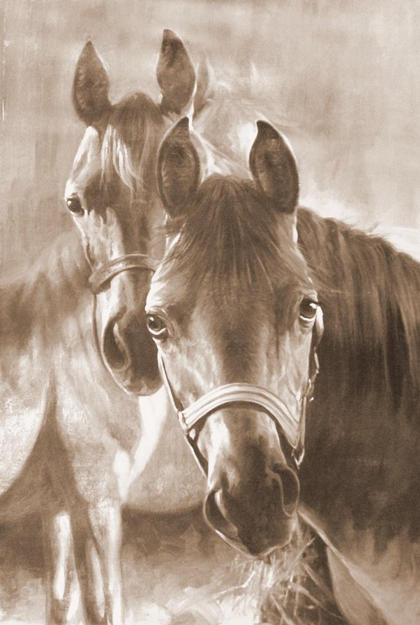 Пара лошадок (живопись) - сепия, монохром, животные, пара, живопись, лошади - оригинал