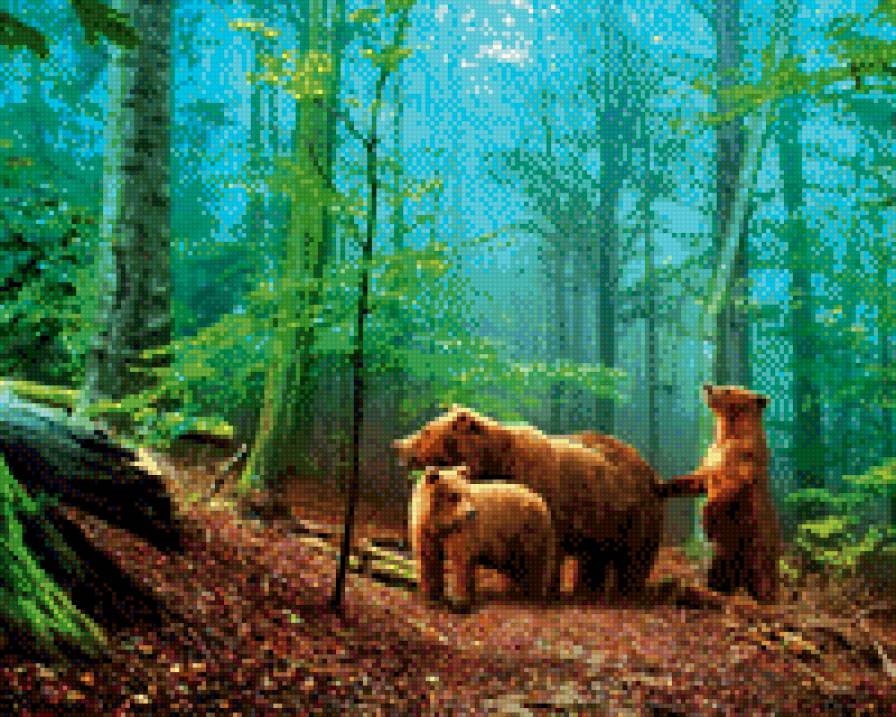 утро в лесу - животные, пейзажи, природа, лес, медведи - предпросмотр