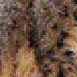 Предпросмотр схемы вышивки «гепард» (№532981)