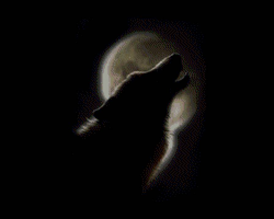 волк при луне монохром - чорнобелое, хищники, луна, монохром, волк - предпросмотр