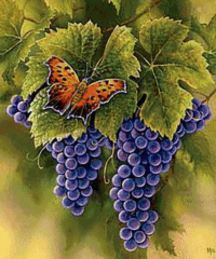 Единение с природой - бабочка, виноград - предпросмотр