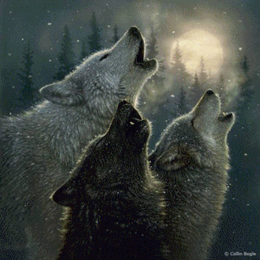 волки песня - хищники, снег, зима, лес, луна, дикие животные, волки - предпросмотр