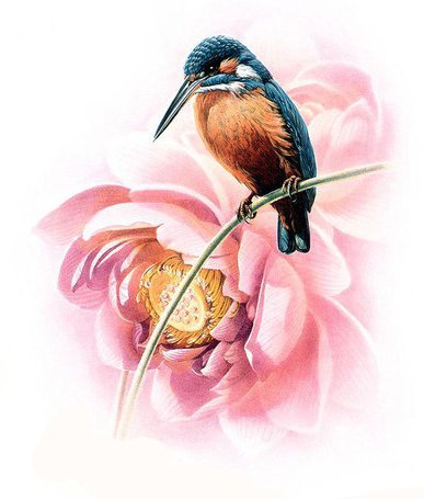 птичка и пион - цветы, птичка, природа, птицы, цветок, серия птицы - оригинал
