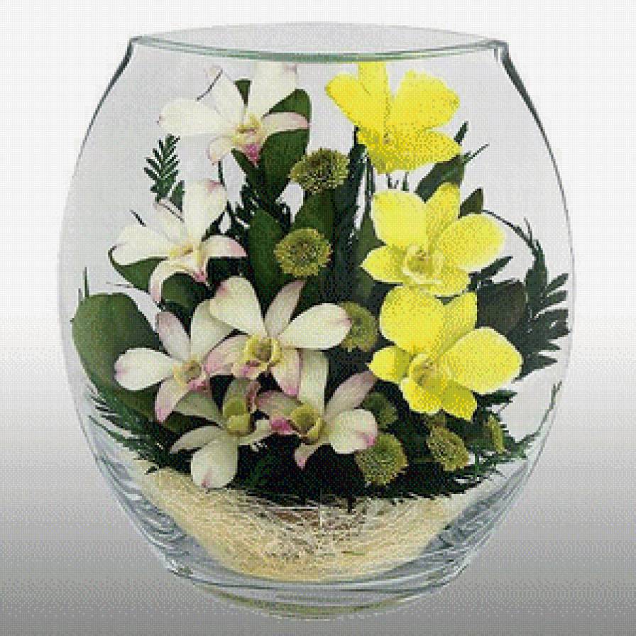 орхидеи в бокале - бокал, цветы, орхидеи - предпросмотр