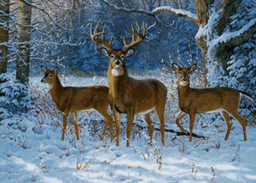 Серия "Зимний пейзаж" - пейзаж, олени, зима, животные - предпросмотр