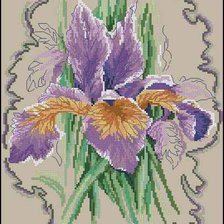 Оригинал схемы вышивки «цвети» (№534086)