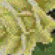Предпросмотр схемы вышивки «цвети» (№534089)