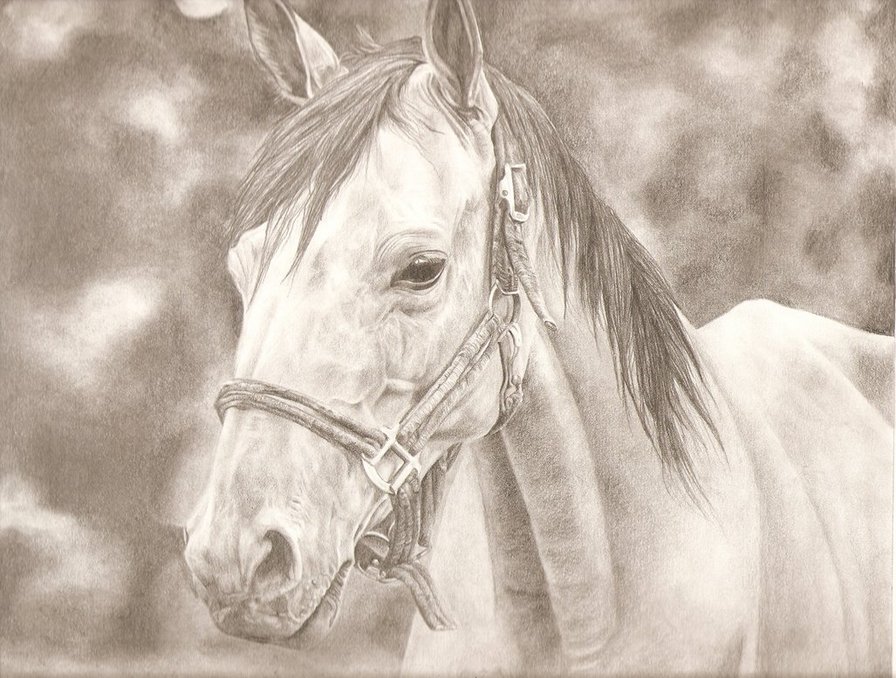Лошадка-символ наступающего года - монохром, лошади, животные, живопись - оригинал