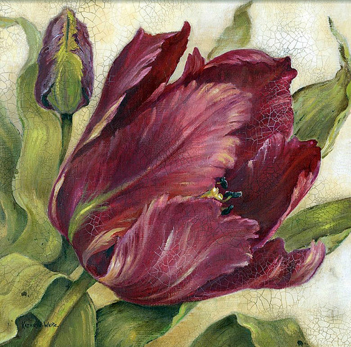 тюльпан - цветок - оригинал