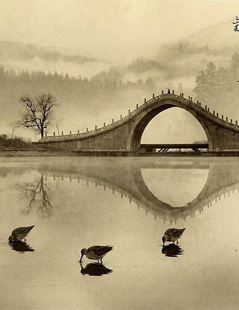 Мост - природа, река, мост, птицы - оригинал