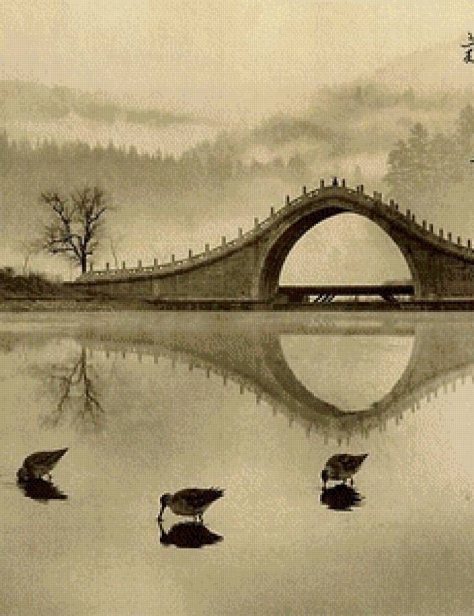 Мост - природа, птицы, мост, река - предпросмотр