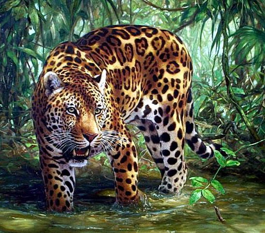 леопард - леопард, дикие кошки, джунгли, лес, река, хищники - оригинал