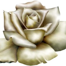 Оригинал схемы вышивки «роза» (№535645)