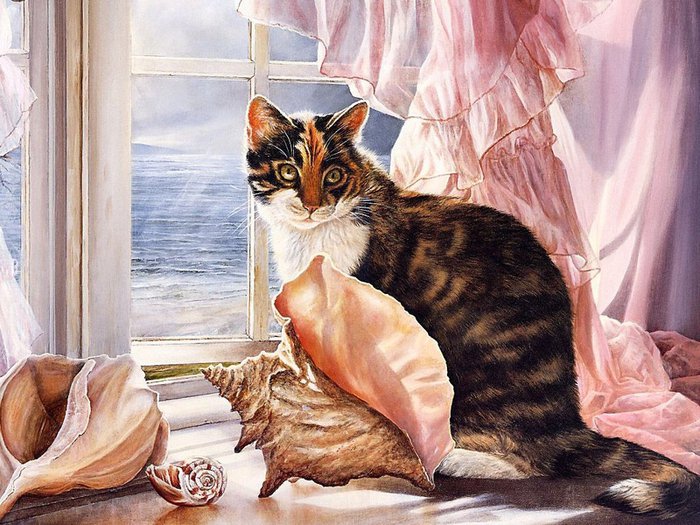 кошка - ракушка, море, окно, кошка - оригинал