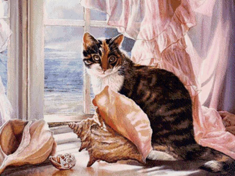 кошка - кошка, ракушка, окно, море - предпросмотр