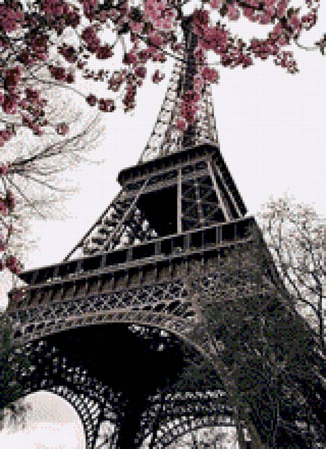 Эйфелева Башня. Париж - цветение, франция, башня, париж, архитектура - предпросмотр