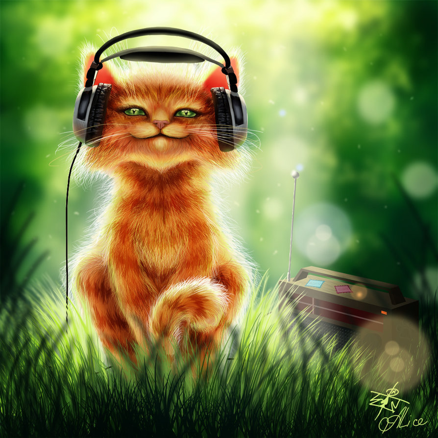 Кот в наушниках - кот, музыка, котенок, весна - оригинал