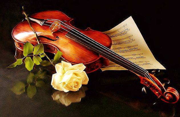 скрипка с розой - оригинал