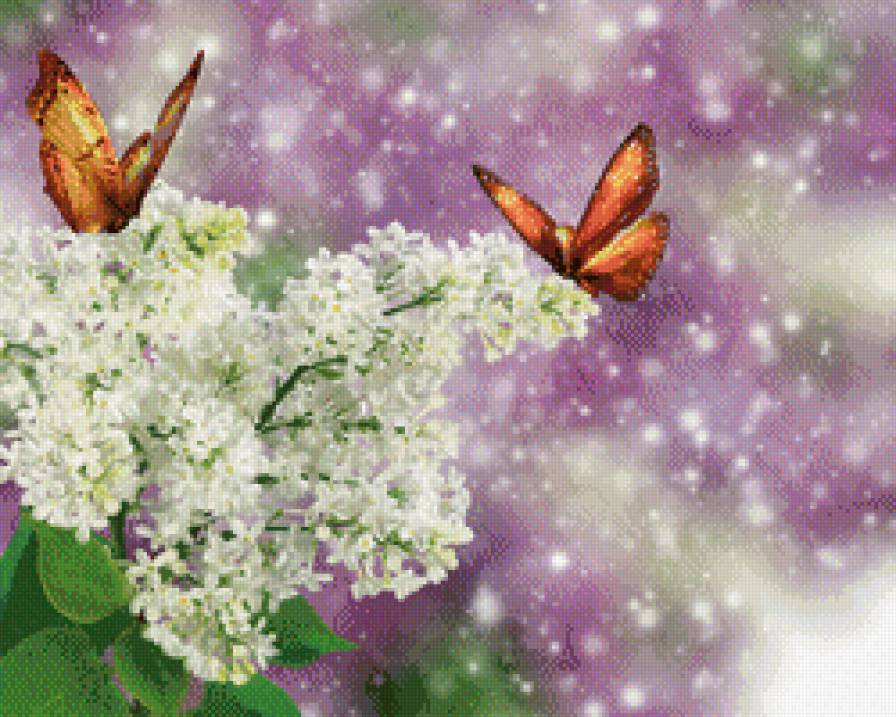 бабочки на белой сирени - букет, сирень, бабочки, цветы, природа - предпросмотр