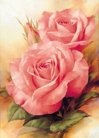 Розы - букет, цветы - оригинал