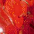 Предпросмотр схемы вышивки «Красный натюрморт с мухоморами» (№537290)