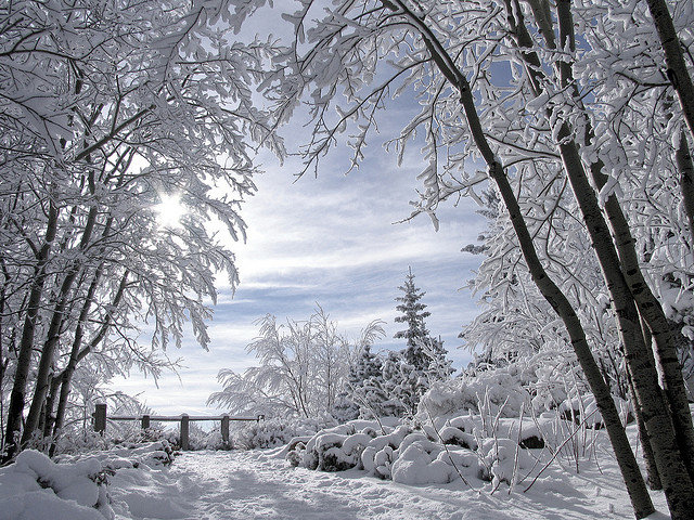 зимний пейзаж - природа, пейзаж, зима - оригинал