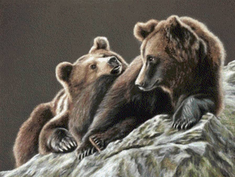 Медведи - животные, медведи, живопись, пара - предпросмотр