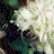 Предпросмотр схемы вышивки «натюрморт хризантемы» (№537842)