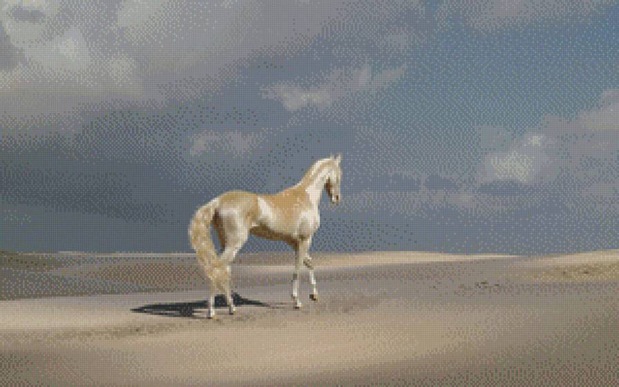 белый конь - сказка, легенда, кони, лошади, миф, животные, существа, единороги - предпросмотр