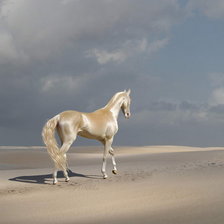 Оригинал схемы вышивки «белый конь» (№537958)
