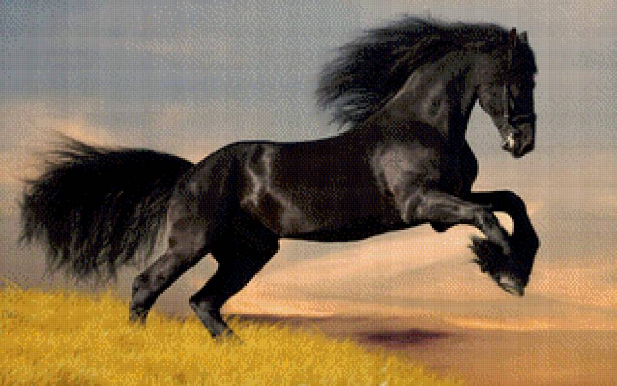вороной - степь, конь, луг, единорог, небо, поле, лошадь.животные.осень - предпросмотр