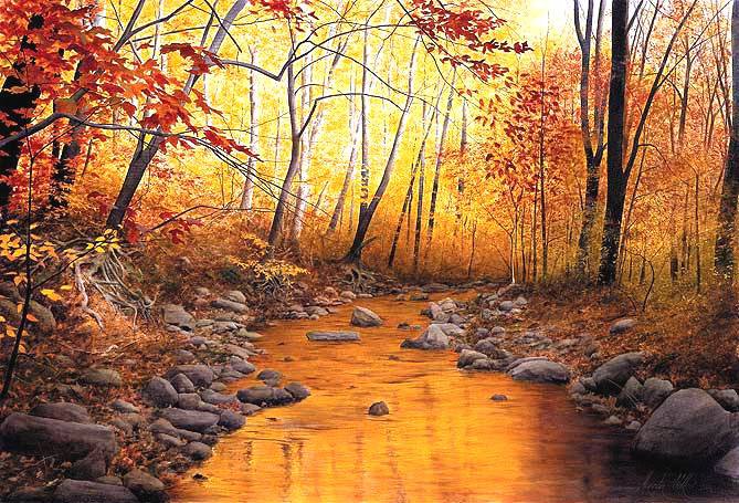 лесной ручей - пейзаж, осень, ручей, природа, лес - оригинал