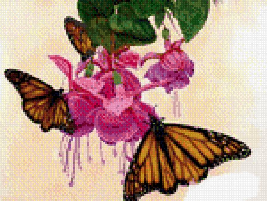 бабочки - бабочки, цветы - предпросмотр
