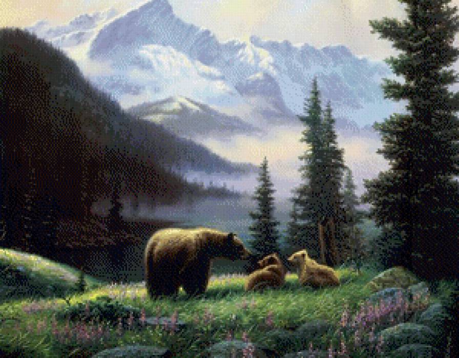 Медведи - медведи, горы, природа, животные, пейзаж - предпросмотр