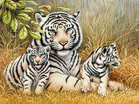 Оригинал схемы вышивки «семья тигров» (№538635)