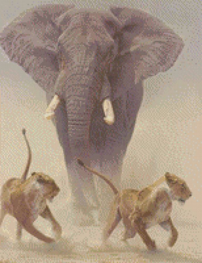 Саванна - слоны, лев, африка - предпросмотр