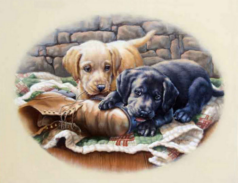 джуди гибсон 19 щенки овал - шалуны, животные, собаки, джуди гибсон, игра, щенки - оригинал