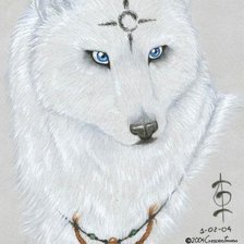 Схема вышивки «Индийский волк»