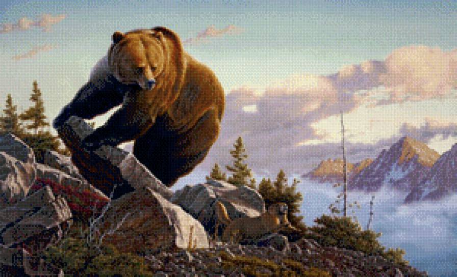 Медведь - природа, медведь, животные, пейзаж - предпросмотр