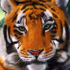 Оригинал схемы вышивки «тигр» (№538896)