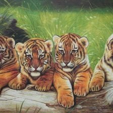 Оригинал схемы вышивки «тигрята» (№538897)